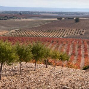 PHOTO-2024-10-11-11-54-35