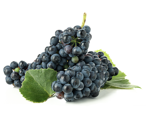 Uvas La Guardesa de Toro